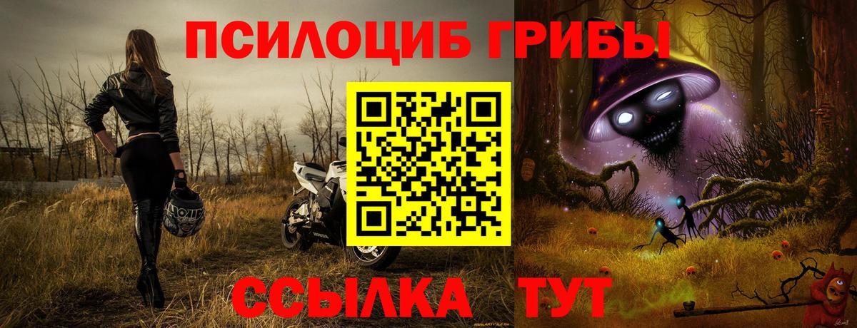 Псилоцибиновые грибы прущие грибы Протвино